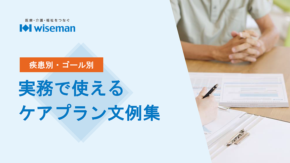 実務で使えるケアプラン文例集